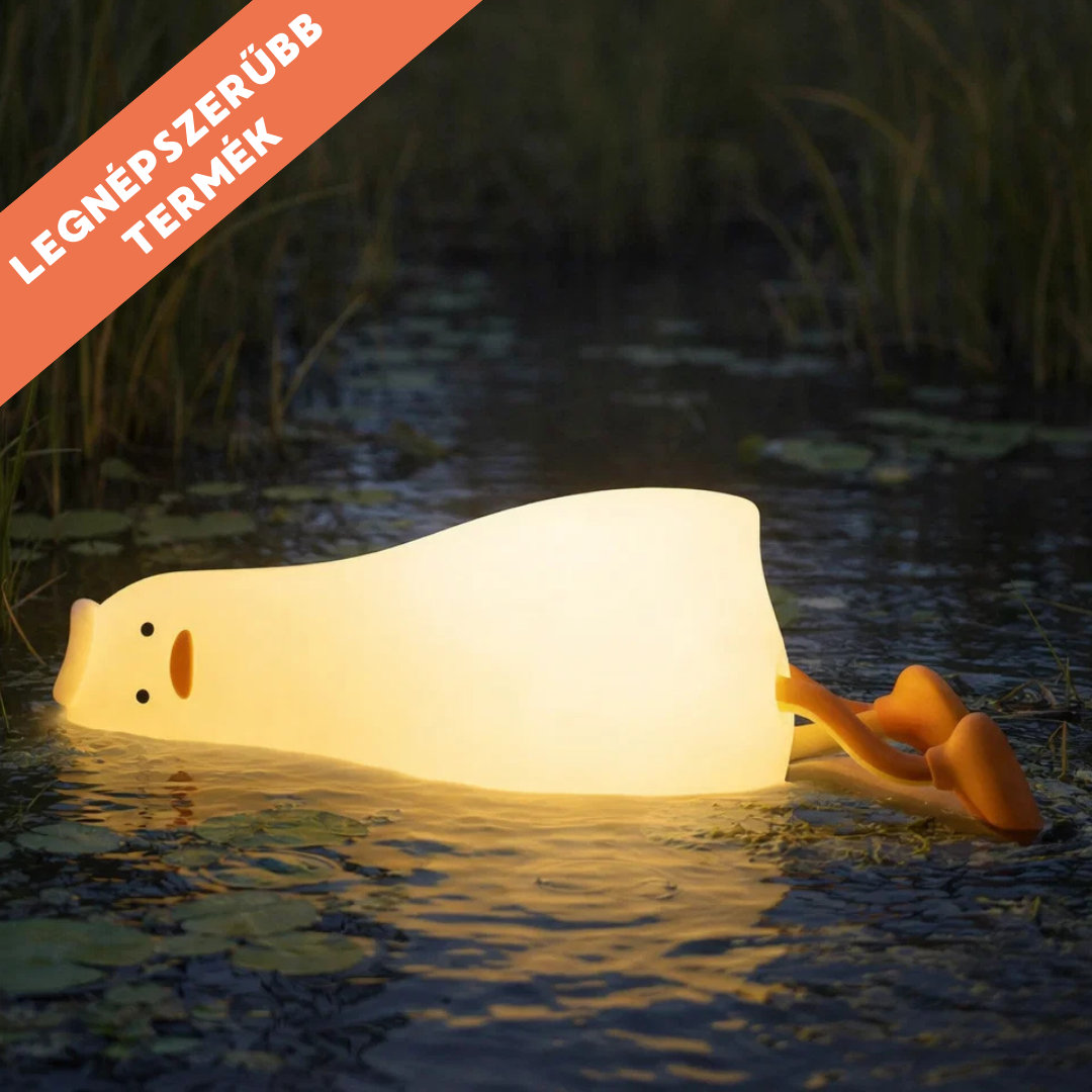 Dodó - a lusta Kacsa Éjjeli LED Lámpa
