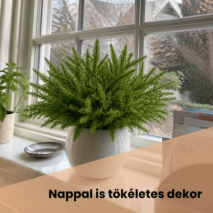 Örök Fenyő – Dekoratív LED Fényfüzéres Műfenyőág Szett